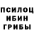Псилоцибиновые грибы мухоморы Irina Pustinicov