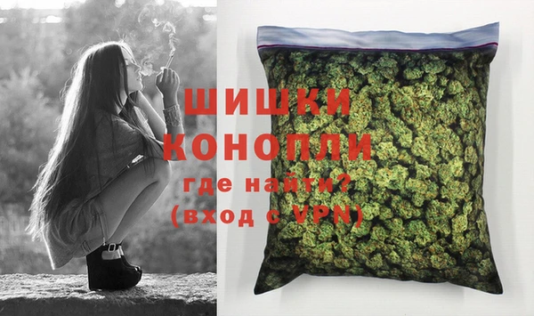 индика Балахна