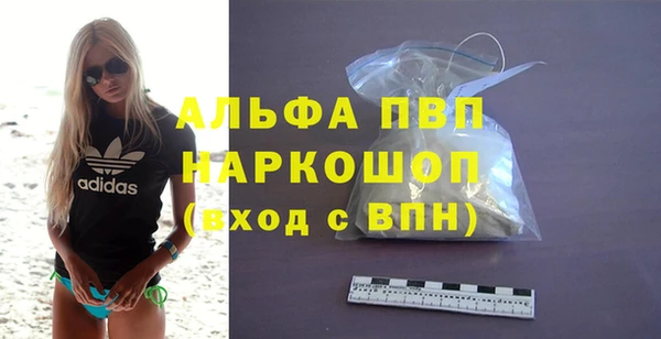 индика Балахна