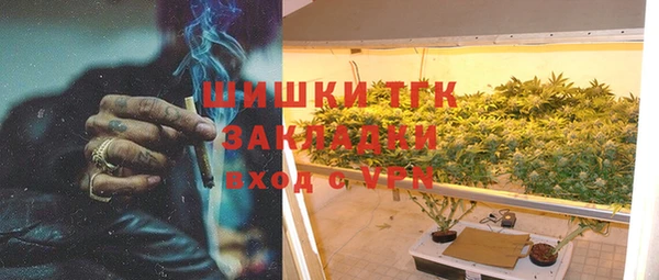 индика Балахна
