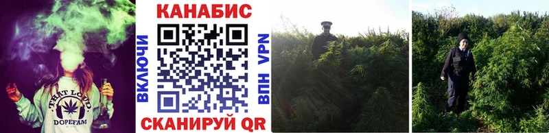 Конопля план  даркнет сайт  Торжок 